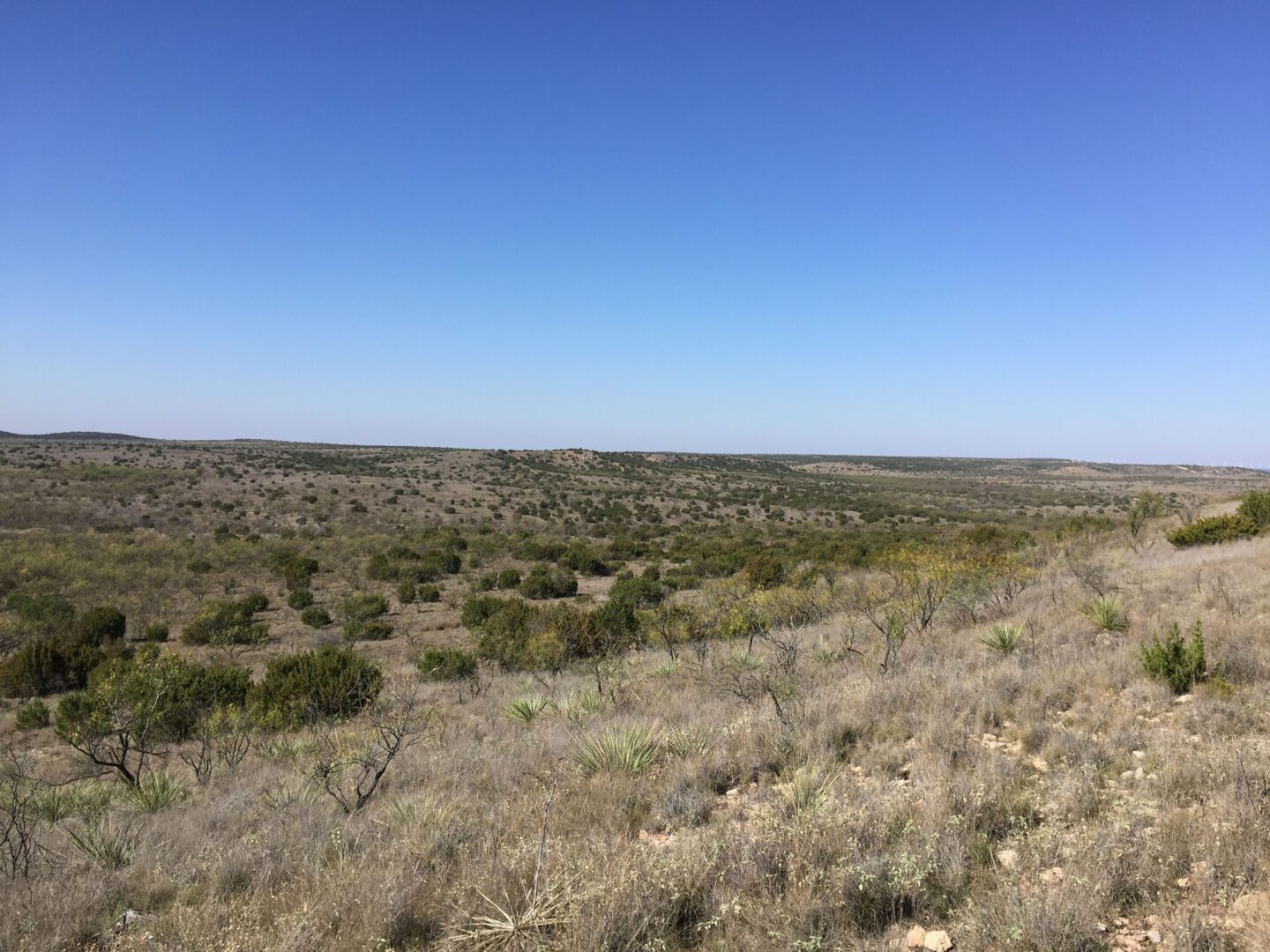 Borden County Ranch