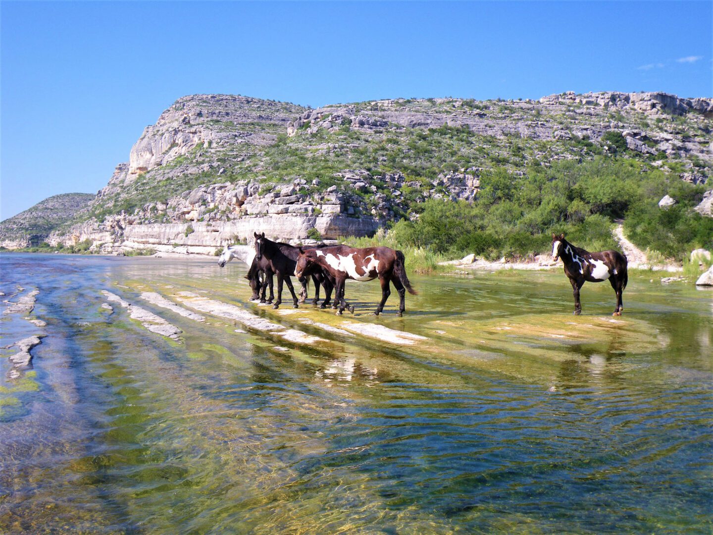 Pecos River Ranch, Val Verde County